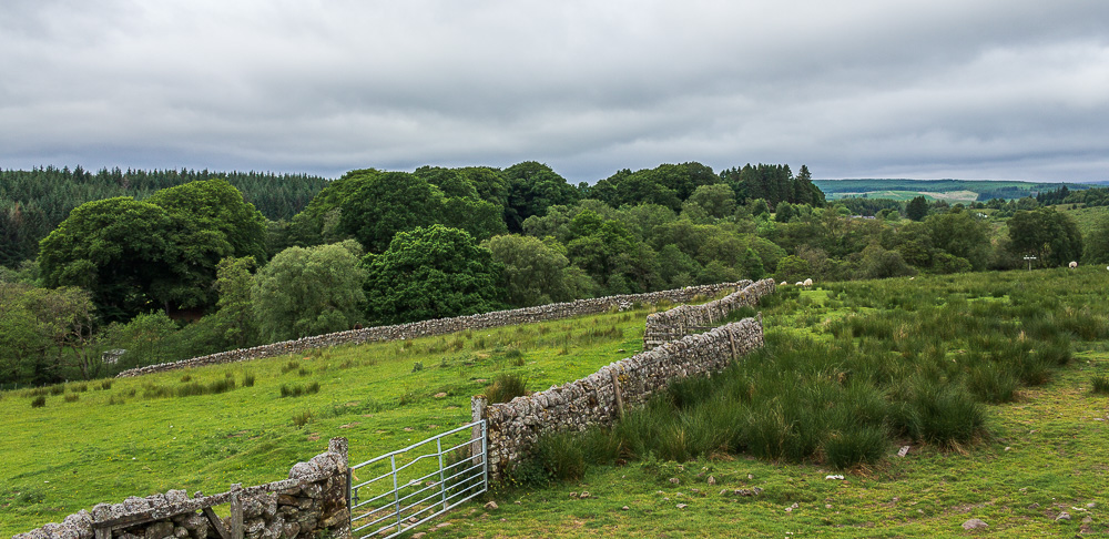 Gillie Hill